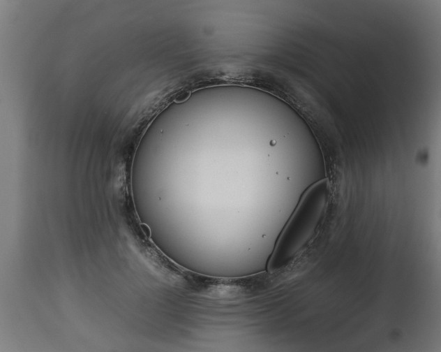 X0000112850748200908281603