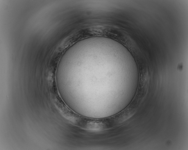 X0000112850749200908281603