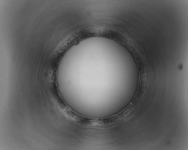 X0000112850750200908281603