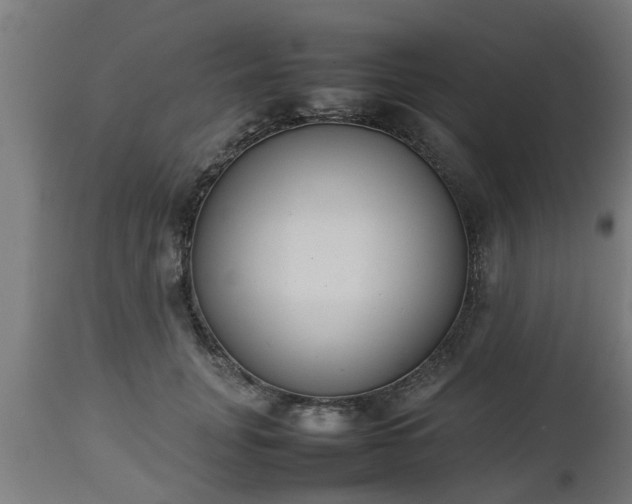 X0000112850751200908281603
