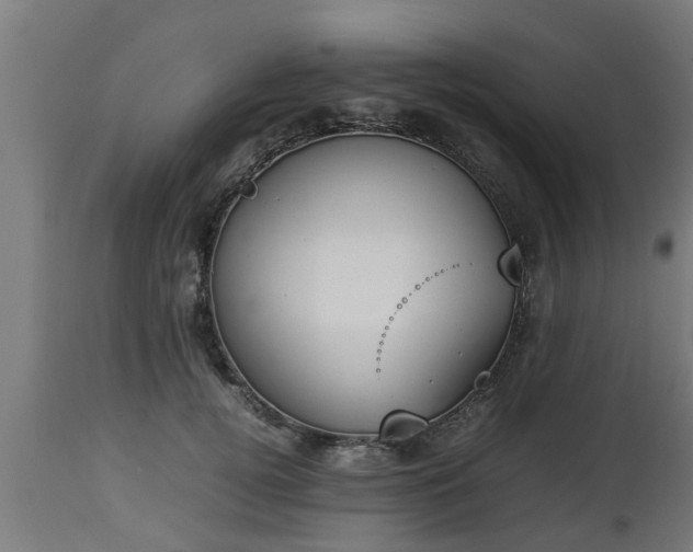 X0000112850752200908281603