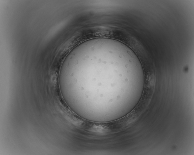 X0000112850753200908281603