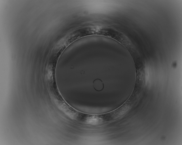 X0000112850754200908281603