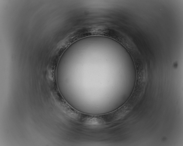 X0000112850755200908281603