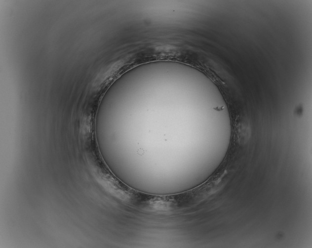 X0000112850756200908281603