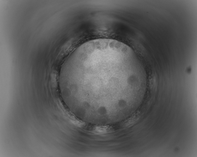 X0000112850757200908281603