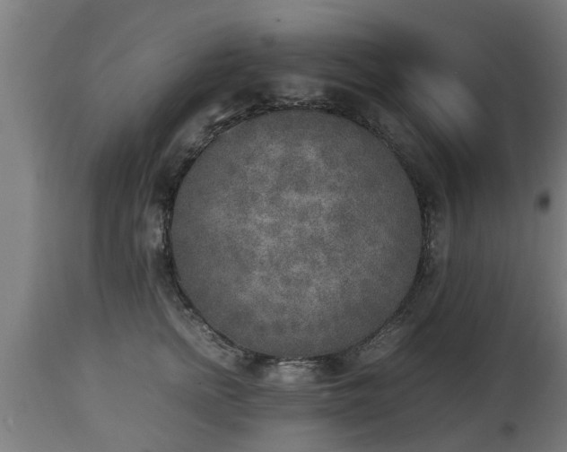 X0000112850758200908281603