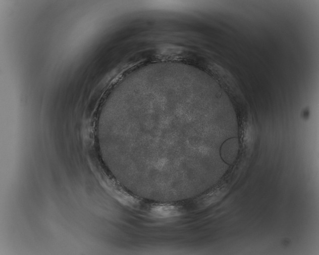 X0000112850759200908281603