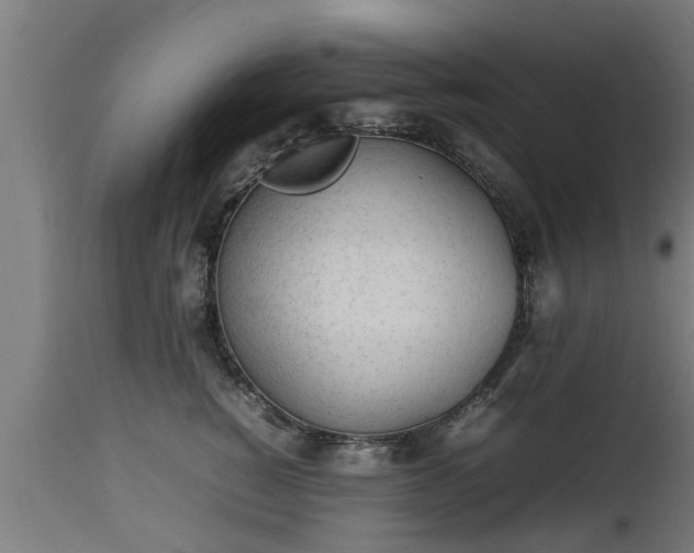 X0000112850760200908281603