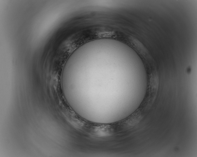 X0000112850761200908281603