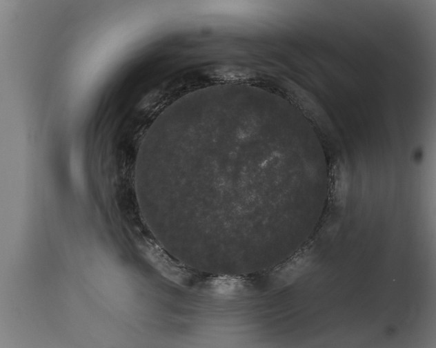 X0000112850762200908281603