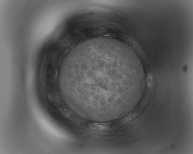 X0000112850763200908281603