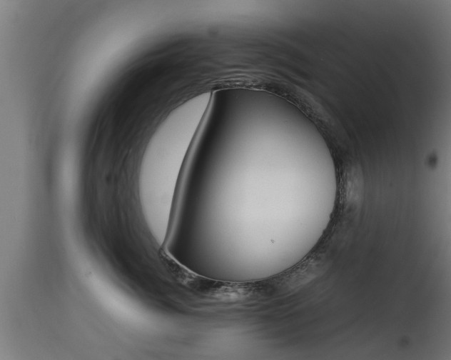 X0000112850764200908281603