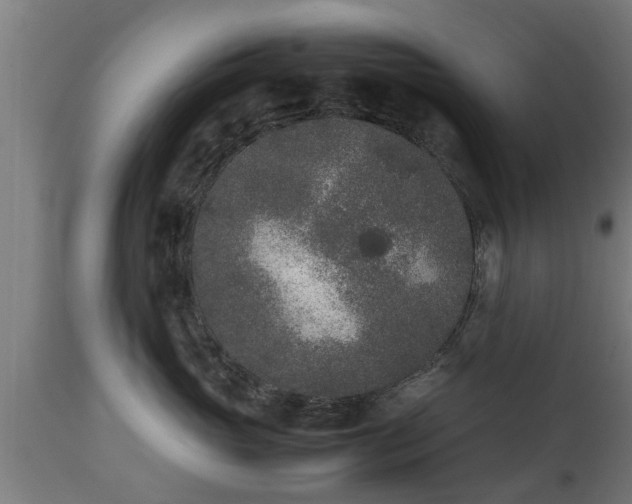 X0000112850765200908281603