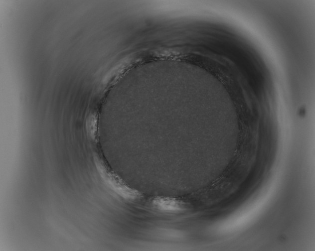 X0000112850767200908281603