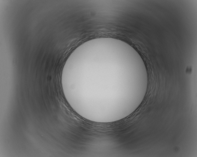 X0000112850768200908281603