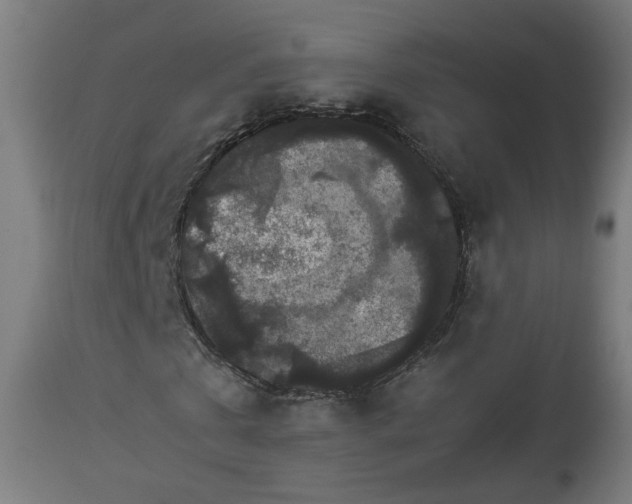 X0000112850769200908281603