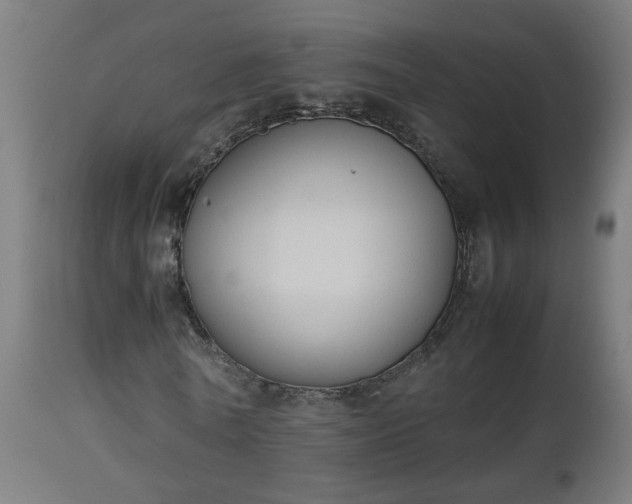 X0000112850770200908281603
