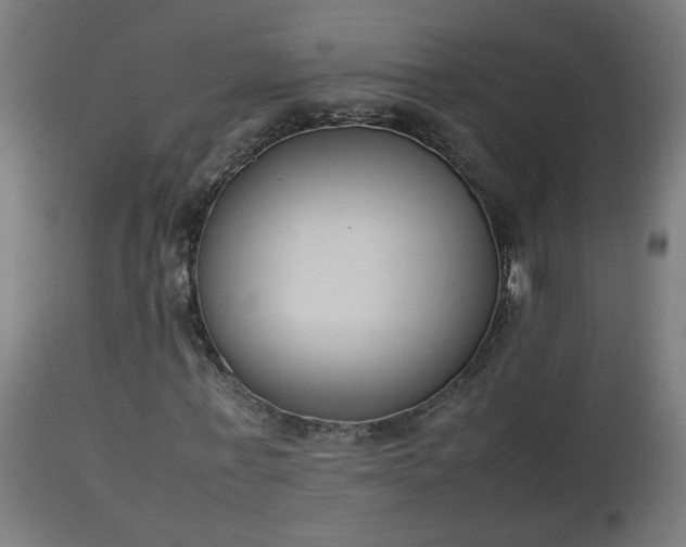 X0000112850771200908281603