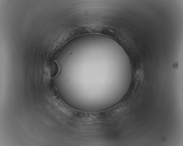 X0000112850772200908281603
