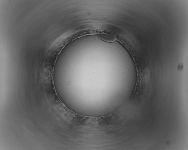 X0000112850773200908281603
