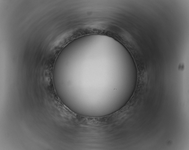 X0000112850774200908281603