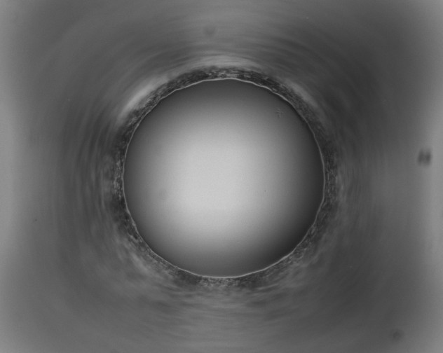 X0000112850775200908281603