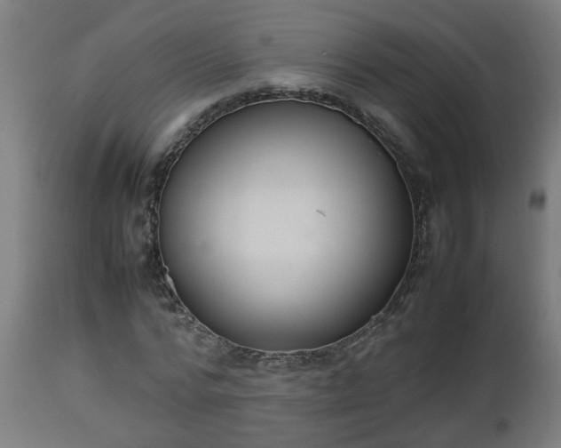 X0000112850776200908281603