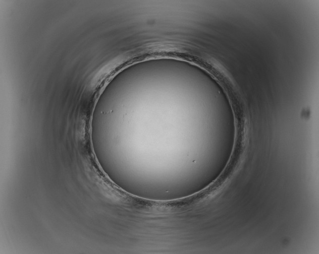 X0000112850777200908281603