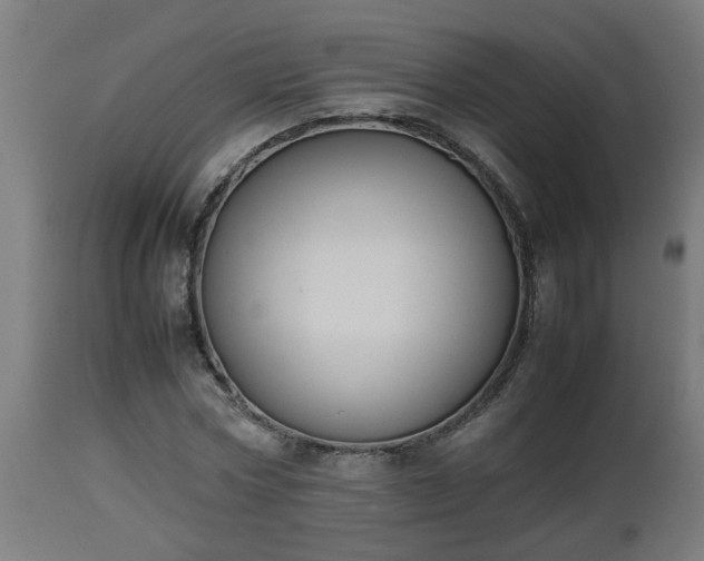 X0000112850778200908281603