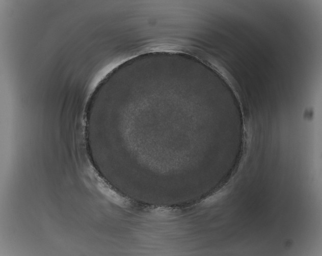 X0000112850779200908281603