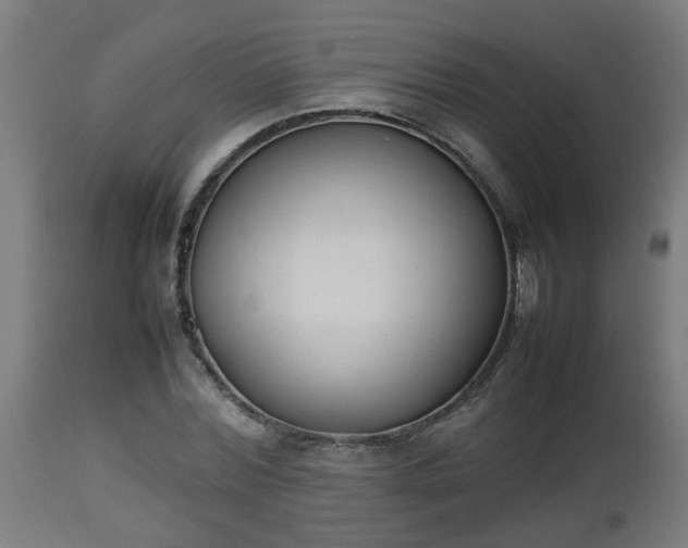 X0000112850780200908281602