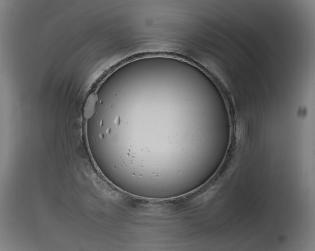 X0000112850781200908281602