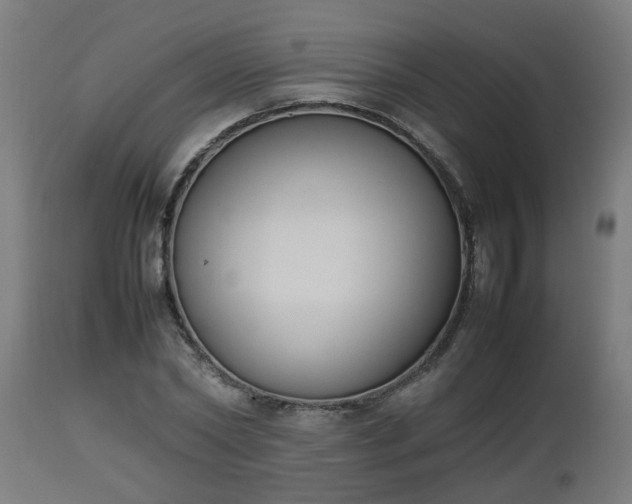 X0000112850782200908281602