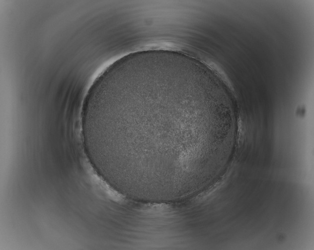 X0000112850784200908281602
