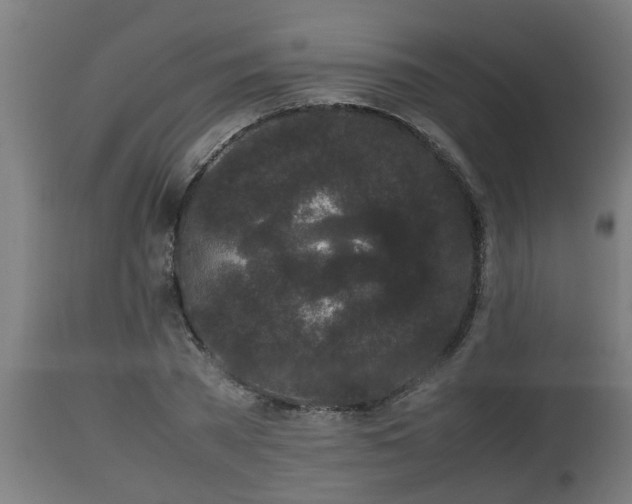 X0000112850785200908281602