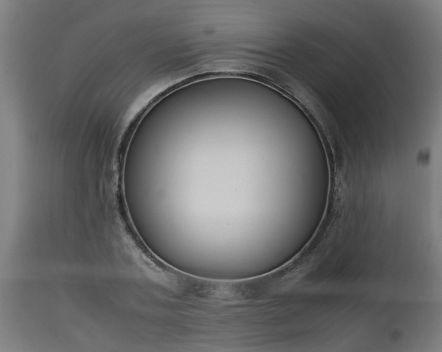 X0000112850787200908281602