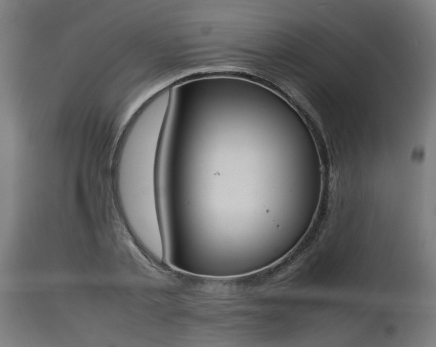 X0000112850789200908281602