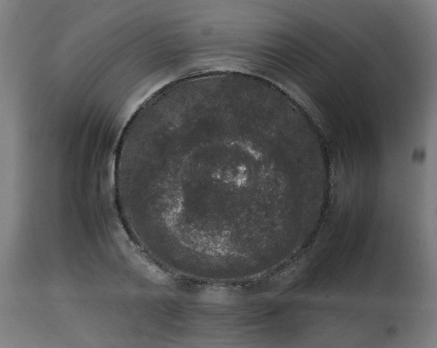 X0000112850790200908281602