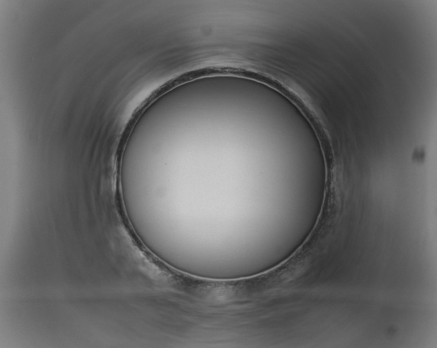 X0000112850791200908281602