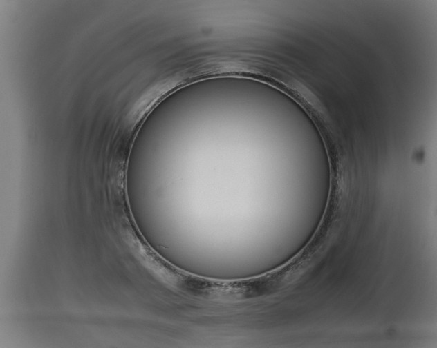 X0000112850793200908281602