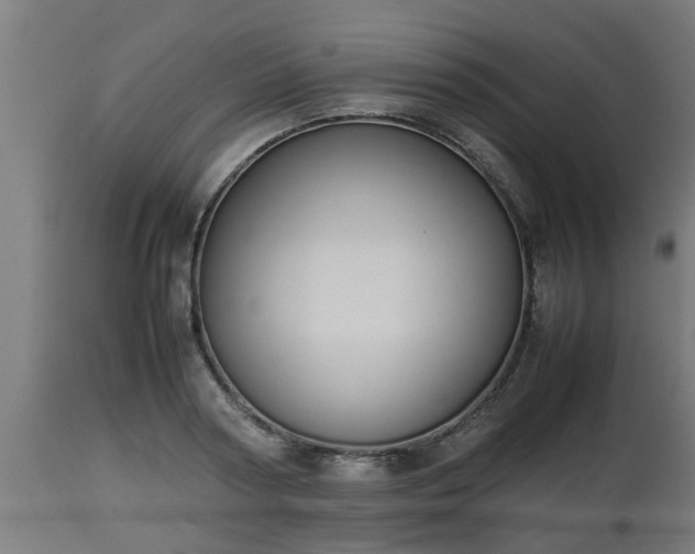 X0000112850794200908281602