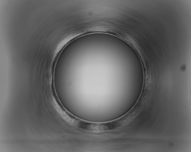 X0000112850795200908281602