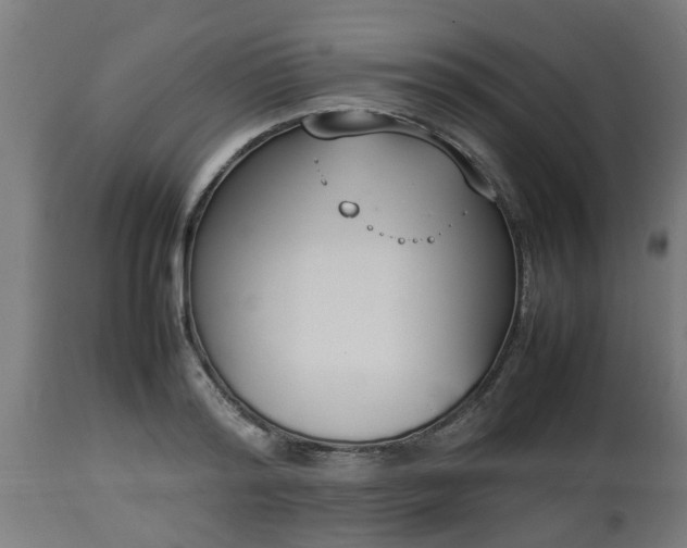 X0000112850796200908281602