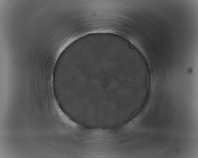 X0000112850797200908281602