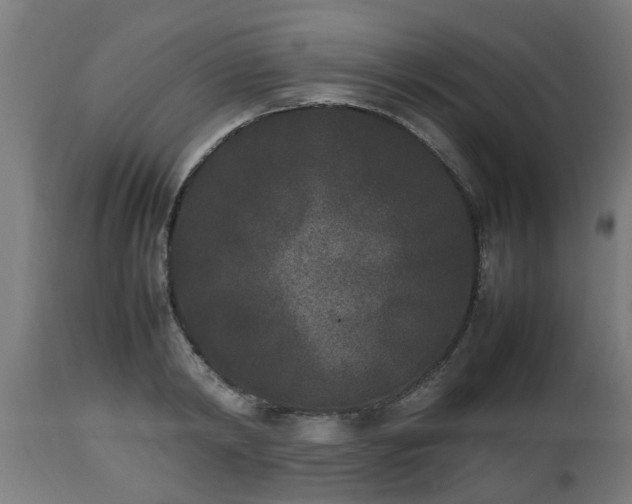 X0000112850798200908281602