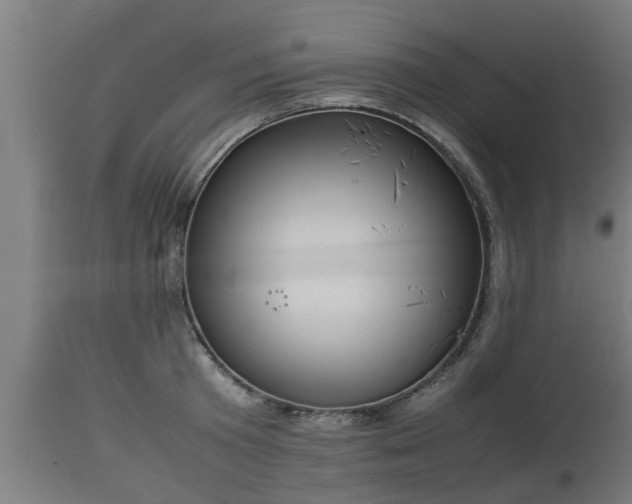 X0000112850801200908281602