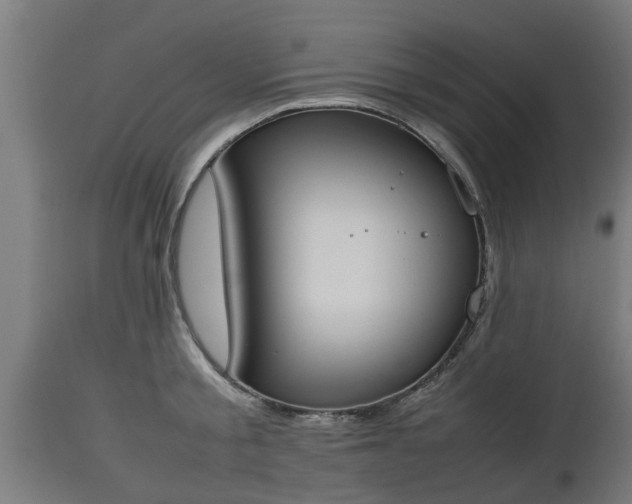 X0000112850805200908281602