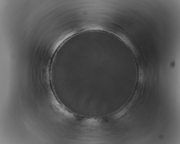 X0000112850806200908281602