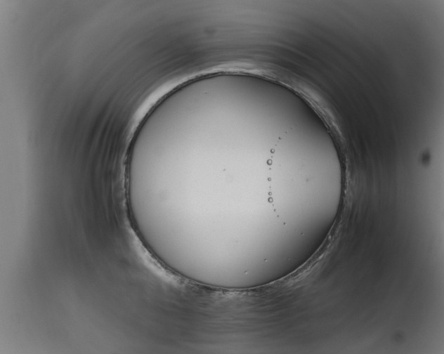 X0000112850808200908281602